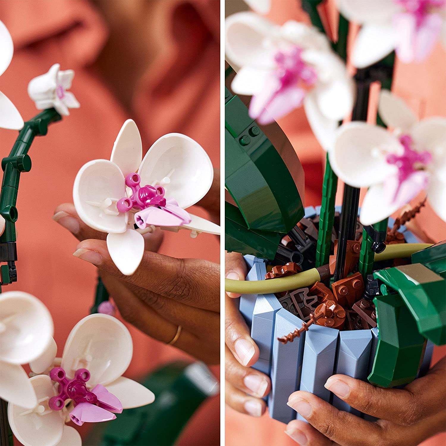 LEGO 10311 Orchidee